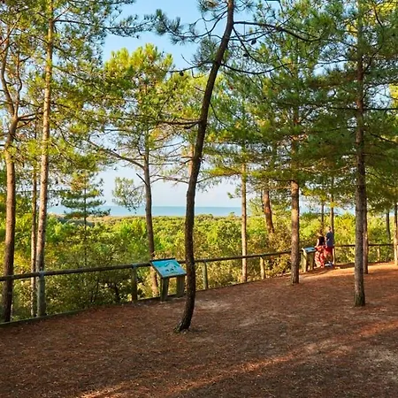 Casa vacanze Charmante Maison Proche Foret - 6 Pers. - Fr-1-323-602 Saint-Jean-de-Monts